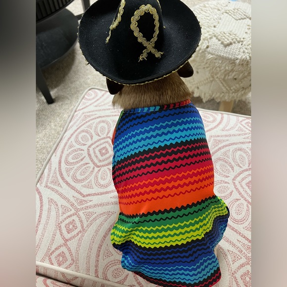 Halloween Costume with matching Sombrero. - Picture 7 of 13